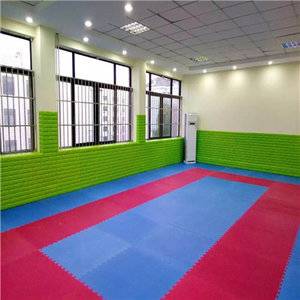 Wholesale Martial Arts Mats Taekwondo Mat For Athletics