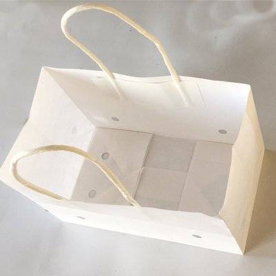 100% White Kraft Paper Grape Bag with Twisted Paper Handle