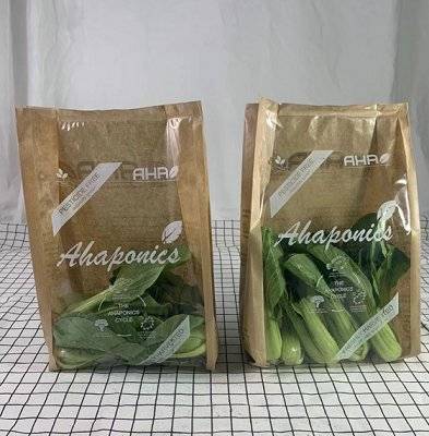 Bolsas vegetales de papel marrón transpirables impresas a medida