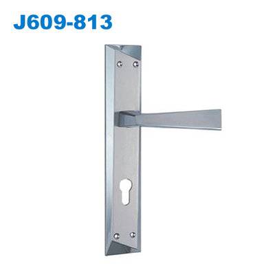 mortice lock/mortise lock/plate door handle/Klamka drzwiowa/дверные Ручки J609-813