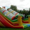 Spring forest inflatable double lane slides/best inflatable bouncy house company