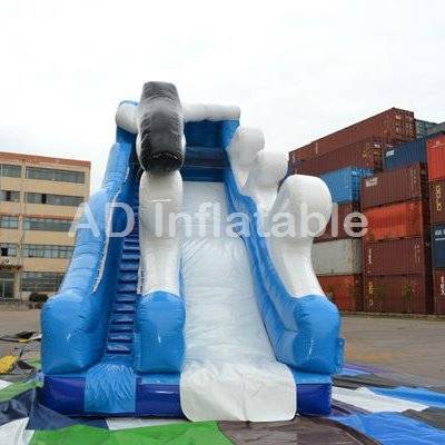 Point Break wave Inflatable Water slip Slides, wholesale water balloon slip and slide
