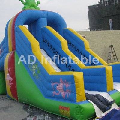 Frog water slide park with detachable pool/customized indoor water parks supplier