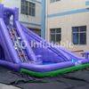 Purple small Inflatable water park slide/China double drop falls water slide