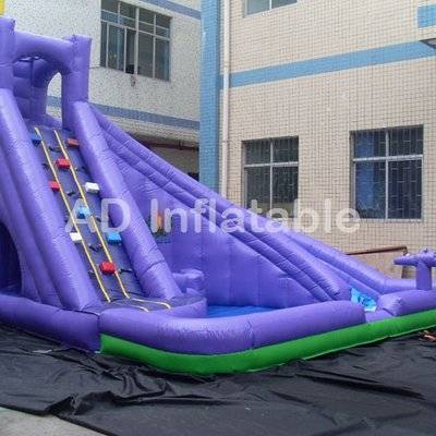 Purple small Inflatable water park slide/China double drop falls water slide