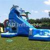 Combined Wet and Wild tropical & dolphin Dual Water Slide/commercial inflatable water slides