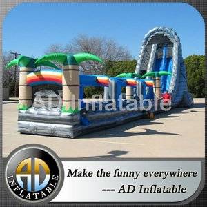 Roaring river water slide,Extreme Dual Lane Waterslides,2 Lanes splash slide