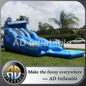 Dolphin Water Slide,Dual Lane water slide,Dolphin Waterslides