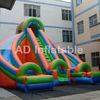 Double park jumbo water slides inflatables with middle ladder