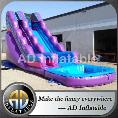 Inflatable Purple Passio extreme Water Slide with pool for sale