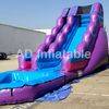 Inflatable Purple Passio extreme Water Slide with pool for sale
