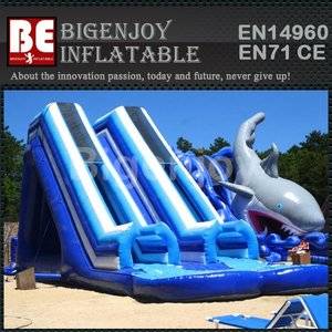 Giant water slide with pool,double tube water slide,water slide with pool