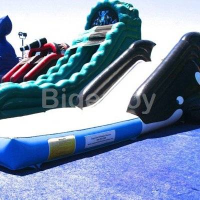Attractive Whale Figure Inflatable Slide