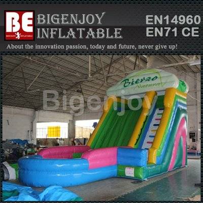 Giant inflatable waterslide for adults