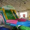 Giant inflatable waterslide for adults