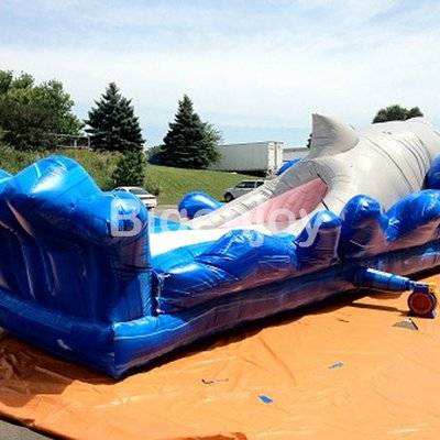 Inflatable shark attack water slide