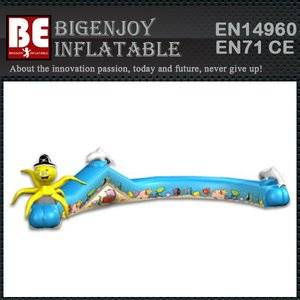 inflatable lizard crawl,Selling well inflatable,unique lizard crawl