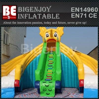 Inflatable Water Slide pool game