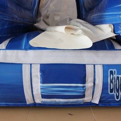 Commercial dolphin inflatable water slide pool