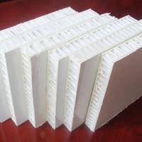 Plastic Honeycomb Panels FRP Honeycomb Sandwich Panels