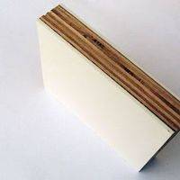 Gel Coated Plywood Sandwich Panels for Truck Body