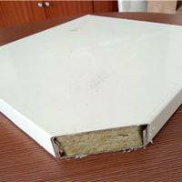 Heat Insulation Rock Wool Sandwich Panels for Mobile House
